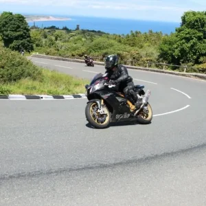 Aprilia RSV 1000 R 2007 Factory Dark Lion Edition - Image 3