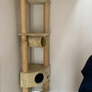 Cat Gym