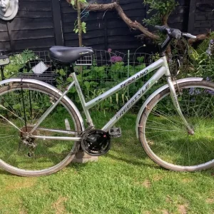 Bike Terrano Freestyle - Image 2