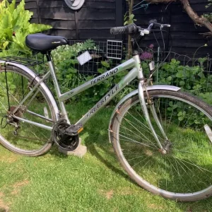 Bike Terrano Freestyle - Image 3