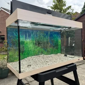 Aquarium tank - Image 2