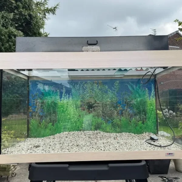 Aquarium tank