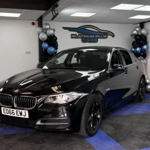 2016 BMW 5 Series 520d SE Auto Euro 6 - Image 3