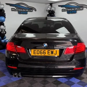 2016 BMW 5 Series 520d SE Auto Euro 6 - Image 8