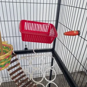 Small animal cage - Image 2