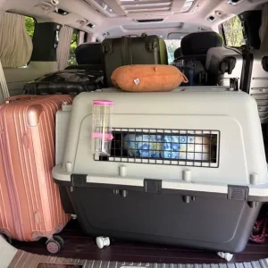 Dog crate meets airline requirements - Image 2