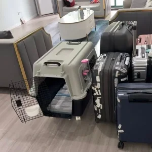 Dog crate meets airline requirements - Image 3