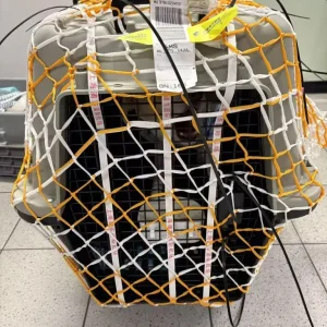 Dog crate meets airline requirements - Image 6