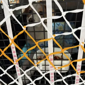 Dog crate meets airline requirements - Image 7