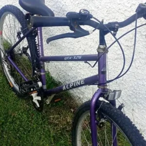 Woman's medium size bike - Image 2