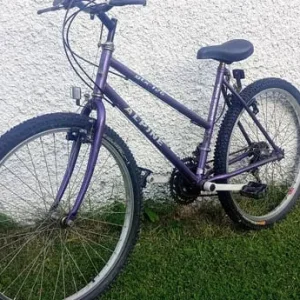 Woman's medium size bike - Image 3