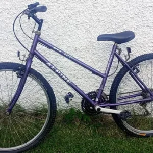 Woman's medium size bike - Image 4