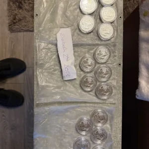 1 oz Brittania Fine Silver Bullion Coin with Queen Elizabeth II - Image 4