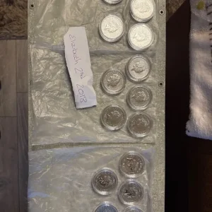 1 oz Brittania Fine Silver Bullion Coin with Queen Elizabeth II - Image 5