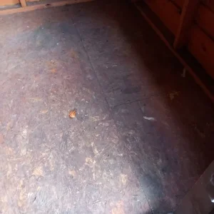 6x6 ft shed - Image 5