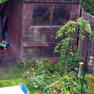 6x6 ft shed - Image 7