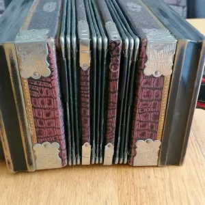 Antique Parsifal Melodeon Piccalo Organ - Image 5