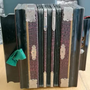 Antique Parsifal Melodeon Piccalo Organ - Image 6