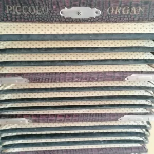 Antique Parsifal Melodeon Piccalo Organ - Image 7