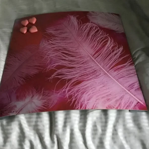 Pink feather magnetic memo holder