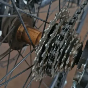 Carrera Gryphon - Image 7