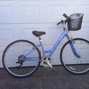 Schwinn ladies bike