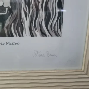 Steven Brown McCoo Collection - Image 3