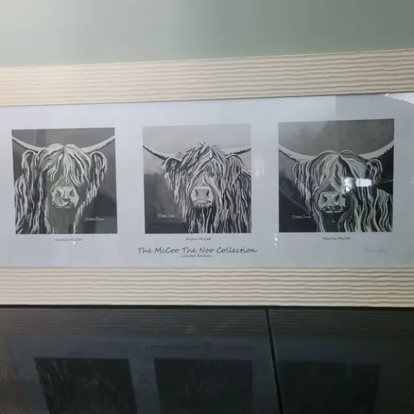 Steven Brown McCoo Collection