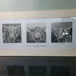 Steven Brown McCoo Collection