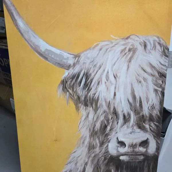 Highland cow canvas