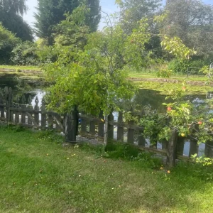 1 Bedroom Chalet and Yard - Image 7