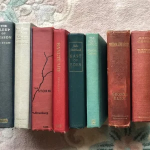 Bundle of 10 vintage hardback books