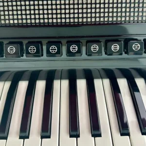 Double Cassotto Excelsior AC Continental - 4 Voice -- 41 / 120 Bass Piano Accordion with MIDI - Image 3