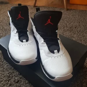 Air Jordan Loyals 3 Size 10 - Image 4