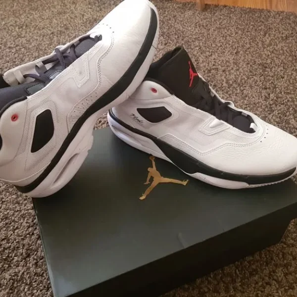 Air Jordan Loyals 3 Size 10