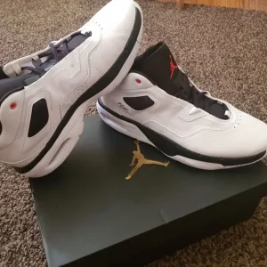 Air Jordan Loyals 3 Size 10