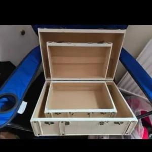 Trunk storage boxes