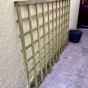 Trellis