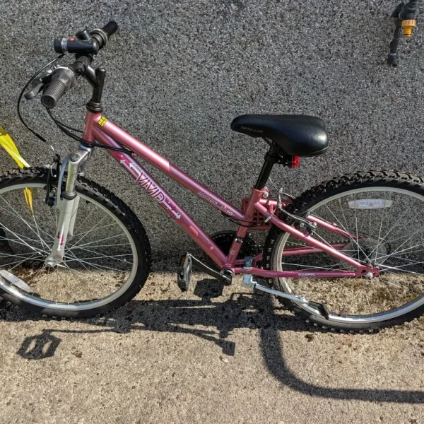 Girls Mountain Bike