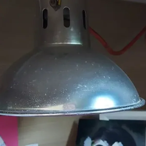 Terrarium with storage