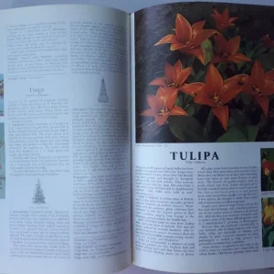 Vintage 1971 Readers Digest Encyclopedia of Garden Plants and Flowers - Image 2