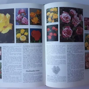 Vintage 1971 Readers Digest Encyclopedia of Garden Plants and Flowers - Image 3