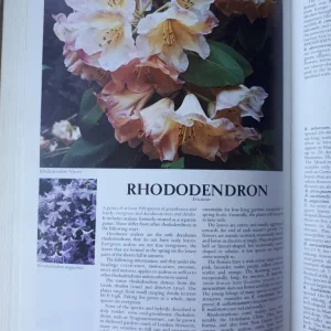 Vintage 1971 Readers Digest Encyclopedia of Garden Plants and Flowers - Image 6