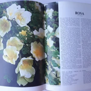 Vintage 1971 Readers Digest Encyclopedia of Garden Plants and Flowers - Image 7