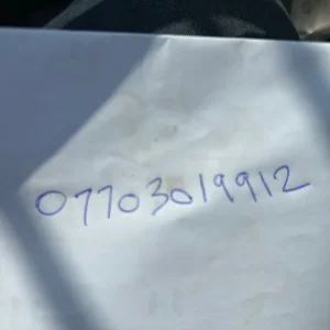 Omlet eglu - Image 2