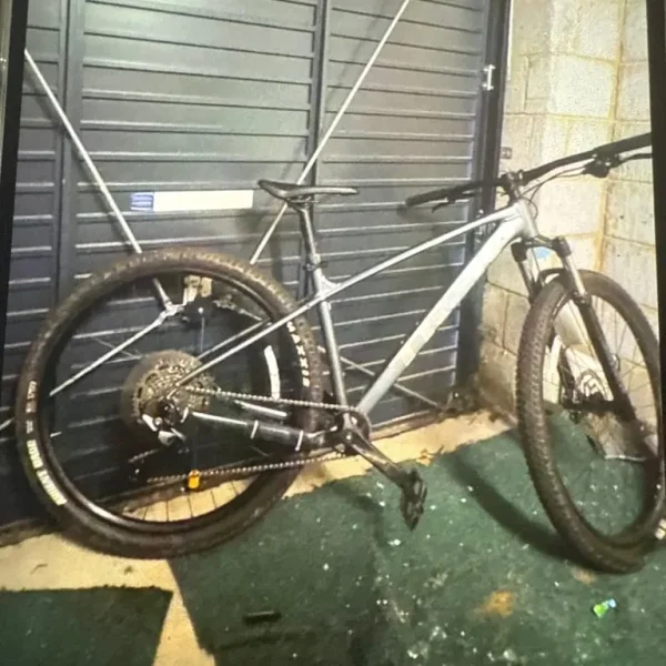 Raleigh Twenty Shopper Bicycle