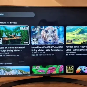 LG 43 Inch 4K Smart TV with WiFi and Remote - Image 3