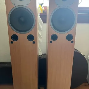 Gale 3030 Floorstanding Speakers