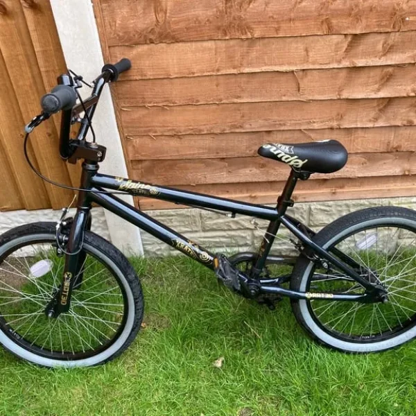 X Rated Spine BMX Bike 20inch Wheels