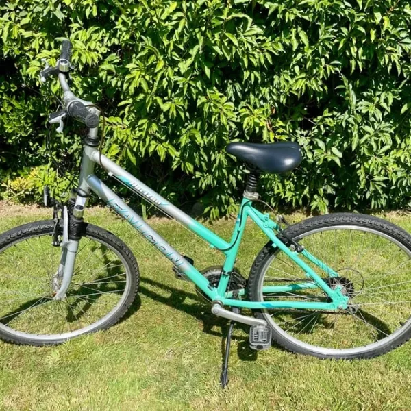 Ladies Falcon Horizon Mountain Bike